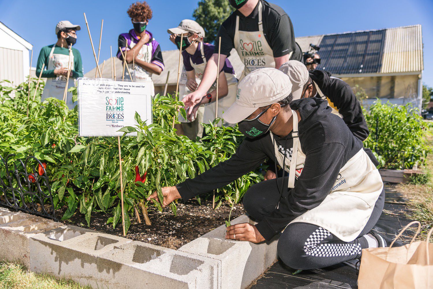 Agriculture, marketing at the root of new BOCES program The Long