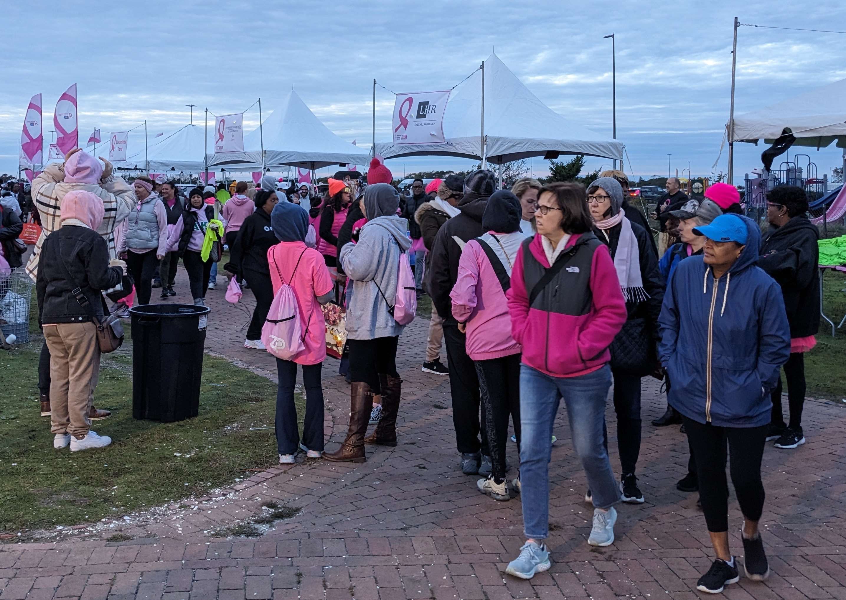 National Museum of Australia on X: To raise awareness for breast cancer,  the women of Many Threads hung over 100 bras on the six-kilometre fence  line from Cherbourg to Murgon. This bra