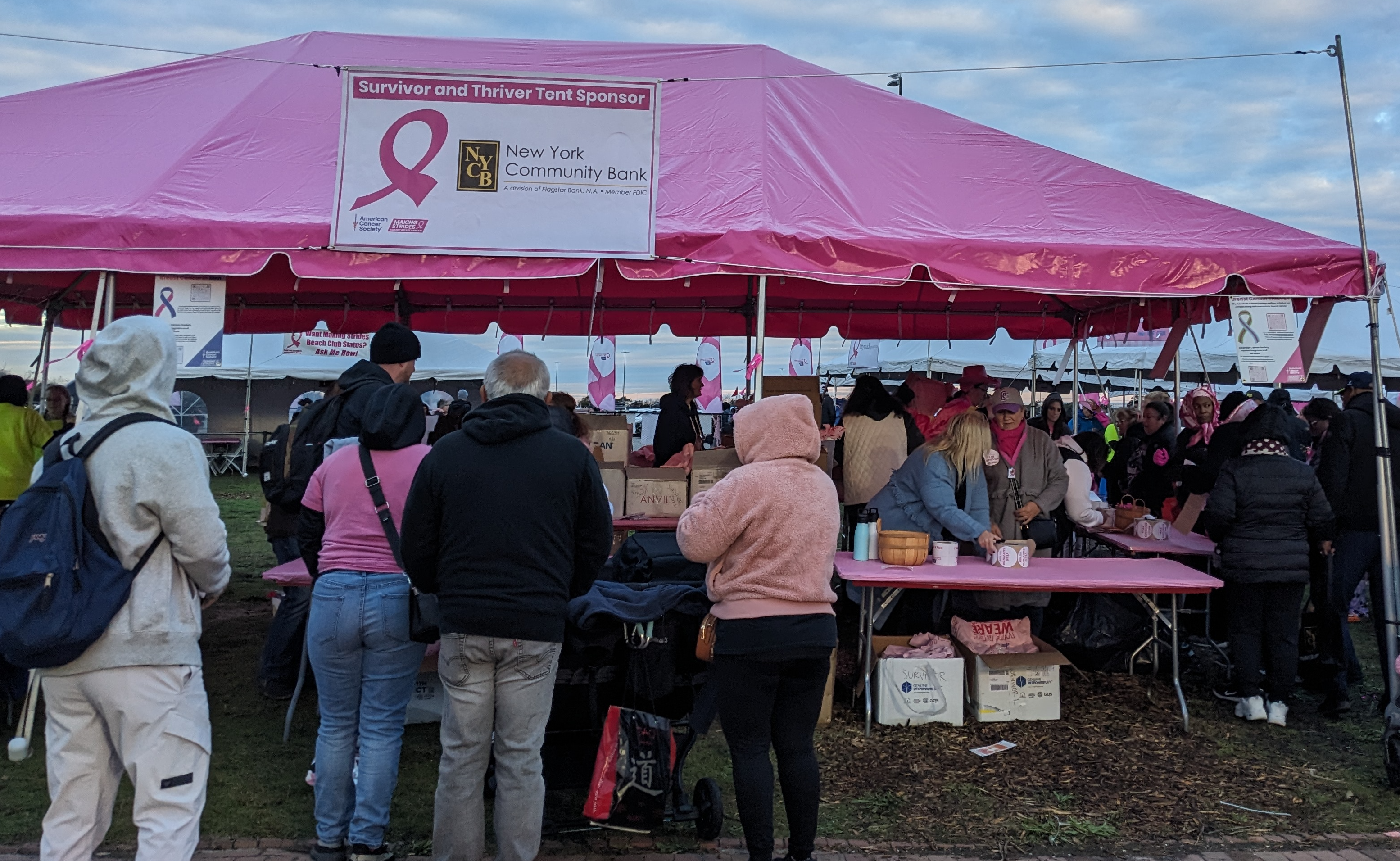 60,000 Long Islanders 'make strides' against breast cancer at Jones Beach -  The Long Island Advocate