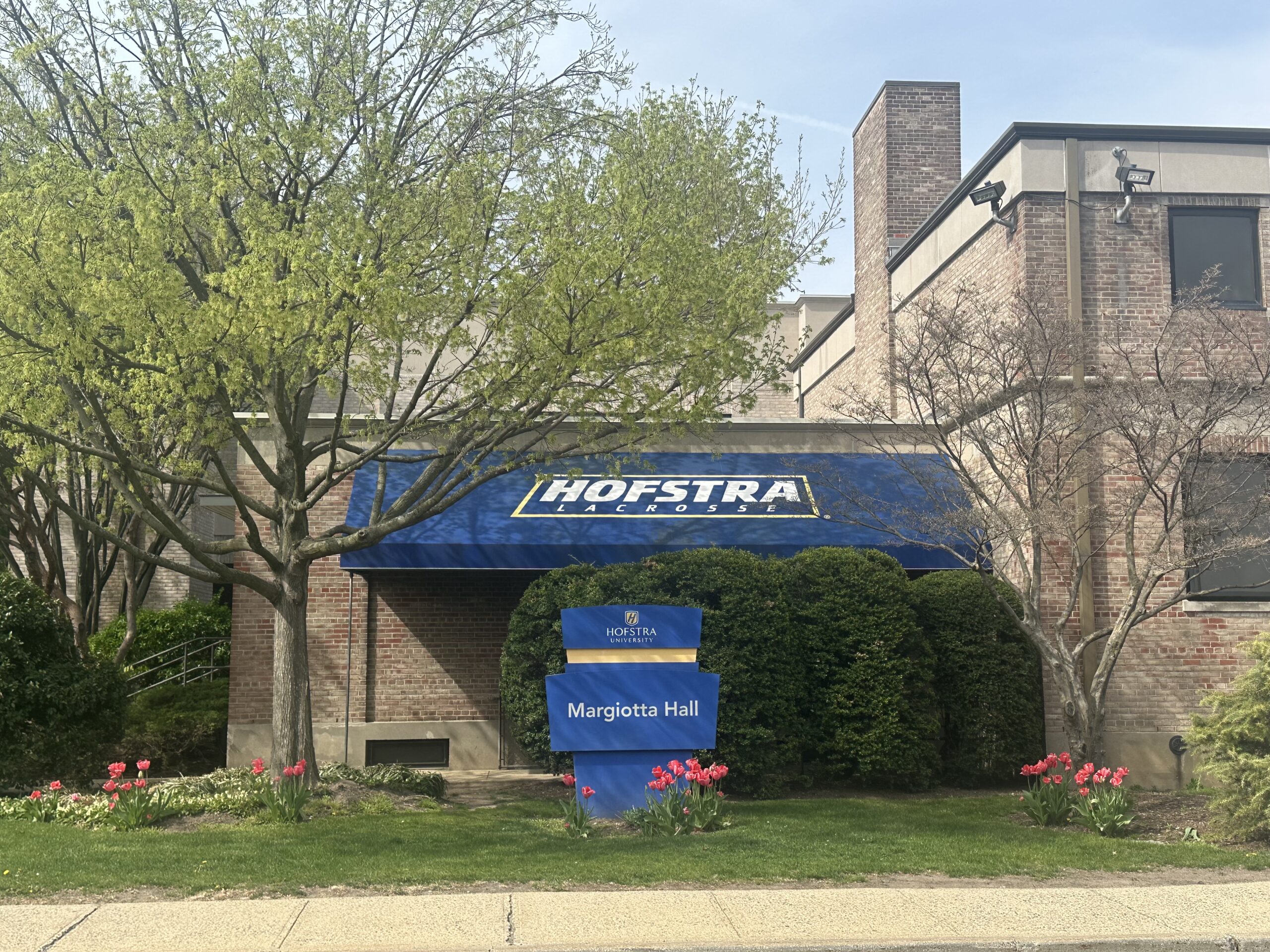 Hofstra men’s lacrosse hopes to surge into key stretch of the season